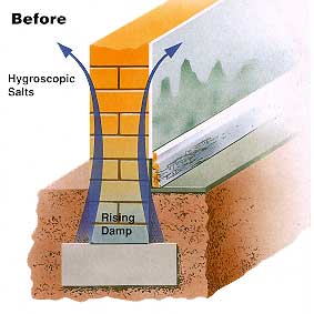 Click here to return to the RMCSPL home page